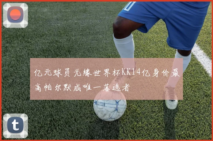 亿元球员无缘世界杯KK14亿身价最高帕尔默成唯一落选者